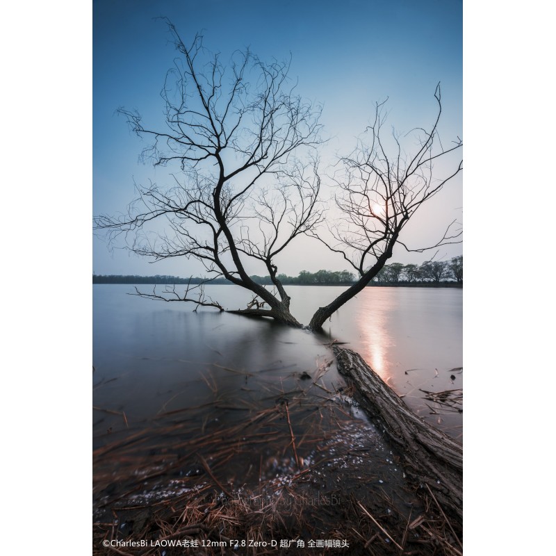 Obiektyw Venus Optics Laowa D-Dreamer 12 mm f/2,8 Zero-D do Sony E - Zdjęcie 7
