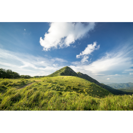 Obiektyw Venus Optics Laowa D-Dreamer 15 mm f/2,0 Zero-D do Sony E - Zdjęcie 11