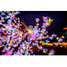 Obiektyw Venus Optics Laowa C&D-Dreamer 9 mm f/2,8 Zero-D do Canon M - Zdjęcie 6