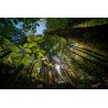 Obiektyw Venus Optics Laowa C-Dreamer 10-18 mm f/4,5-5,6 do Nikon Z - Zdjęcie 4