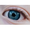 Obiektyw Venus Optics Laowa 65 mm f/2,8 2x Ultra Macro APO do Sony E - Zdjęcie 4