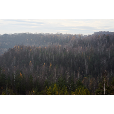 Obiektyw Voigtlander Nokton 75 mm f/1,5 do Leica M - czarny - Zdjęcie 1