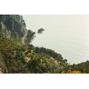 Obiektyw Voigtlander Nokton 75 mm f/1,5 do Leica M - srebrny - Zdjęcie 9