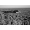 Obiektyw Voigtlander Nokton 75 mm f/1,5 do Leica M - srebrny - Zdjęcie 11