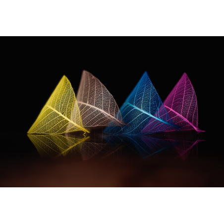 Obiektyw Venus Optics Laowa 60 mm f/2,8 Macro 2:1 do Canon EF - Zdjęcie 11
